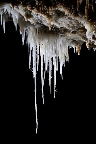 Grotte de la Fileuse de verre ou de la Devèze (Courniou, Hérault) - Salle Milhaud : rideau de fines stalactites et fistuleuses blanches(SP-25-0611 )